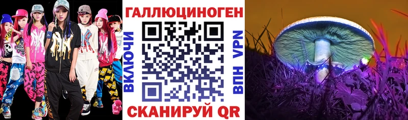 Псилоцибиновые грибы Psilocybine cubensis  Горбатов 